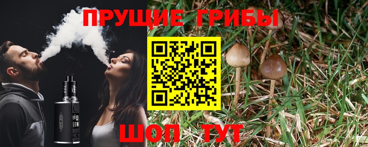 Галлюциногенные грибы Psilocybine cubensis  Вход с VPN  Славянск-на-Кубани 